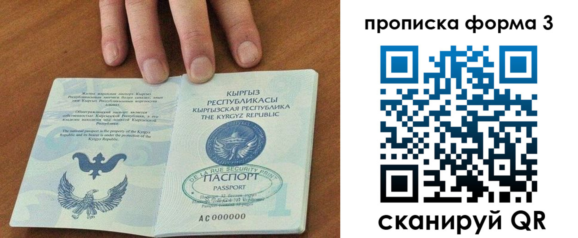 прописка 2025 в Алейске